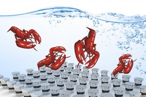 小龍蝦超聲波清洗機(jī)怎么買(mǎi)？買(mǎi)多大容量功率的合適?